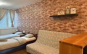 Zizkov Cosy Studio Apartments